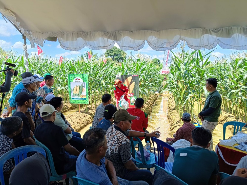 Pelatihan Pertanian Intensif di Gumbil Libatkan Petani Seluruh Pulau